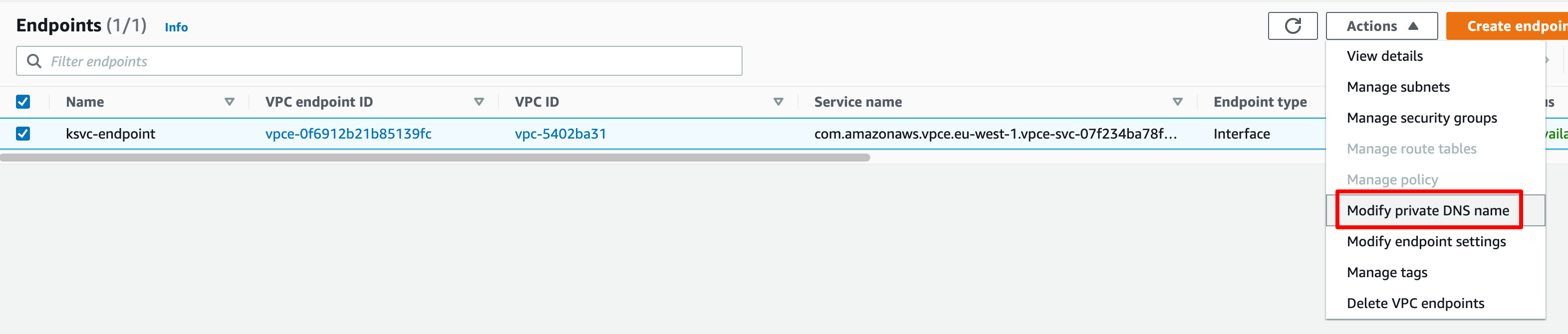 Modify Private DNS Name