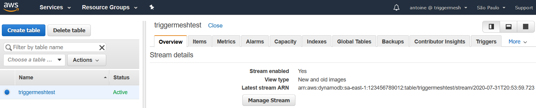 DynamoDB Table